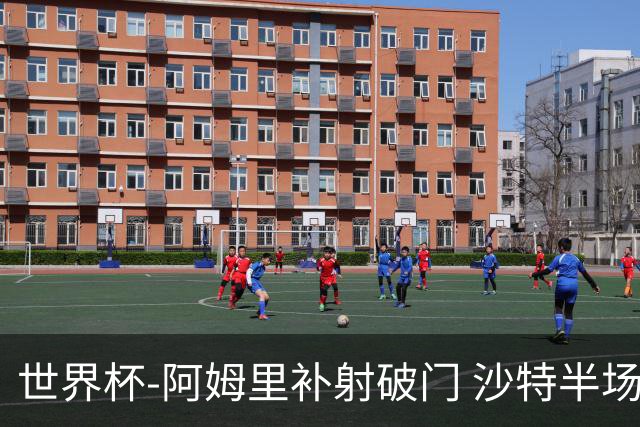 世界杯-阿姆里补射破门 沙特半场暂1-0领先乌拉圭