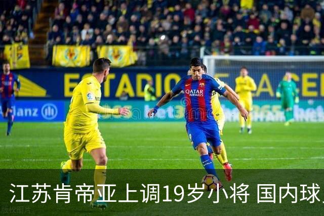 江苏肯帝亚上调19岁小将 国内球员注册达16人