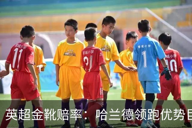 英超金靴赔率：哈兰德领跑优势巨大 福登掉队